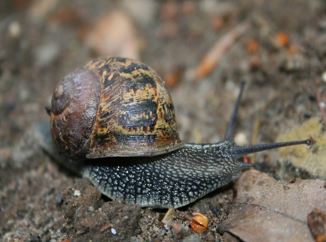 How to Get Started with Cryptocurrency