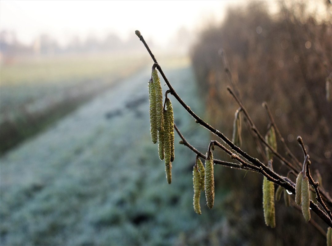 What Can You Actually Find on CoolROM?