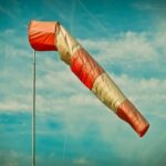 crypto market signals