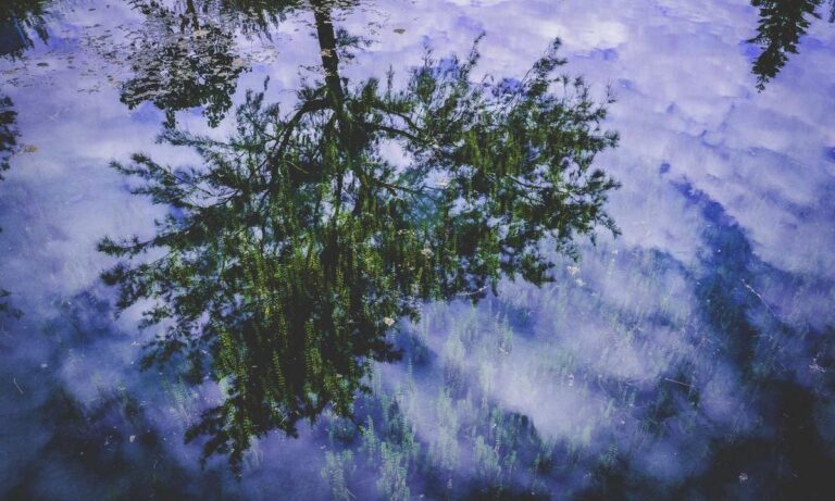 crypto staking gscryptopia