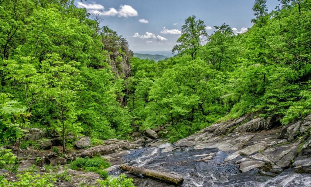 cryptocurrency guide gscryptopia