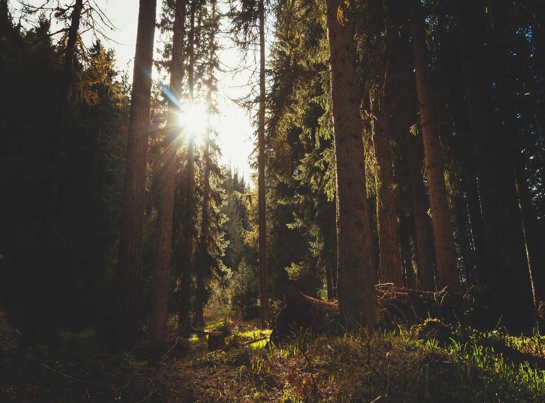 The Relationship Explained: Are They Together?