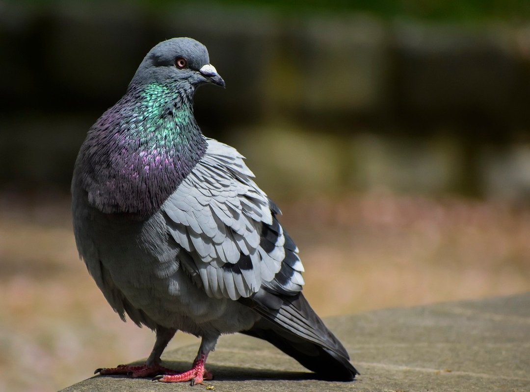 The Key Features That Set It Apart from Other Platforms