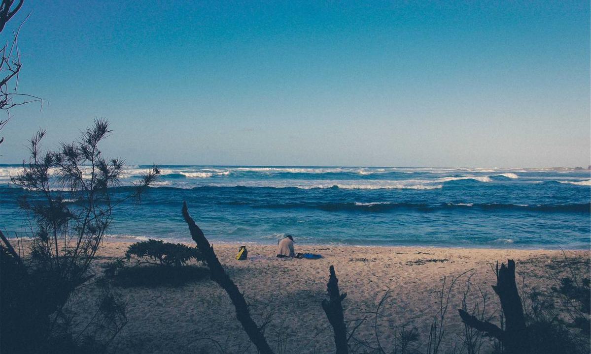 How to Invest Bitcoin for Beginners Gscryptopia